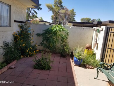 PATIO PHOTO