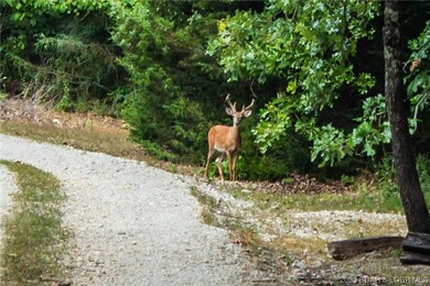 Natural Wildlife