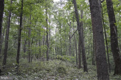 0 Wren Ln unit VASH116002, Strasburg, VA 22657 - photo 3