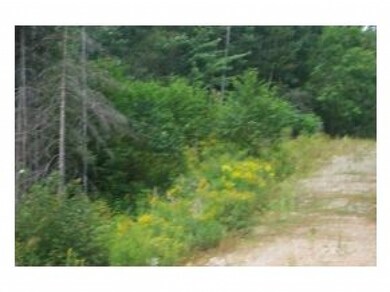 23 Blackberry Ln, Lancaster, NH 03584 - photo 3