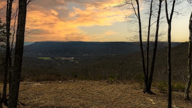 0 Raulston Falls Rd unit RTC3049508, Jasper, TN 37347 - photo 4