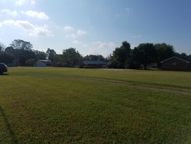 0 Hendrixson Dr, Manchester, TN 37355 - photo 2