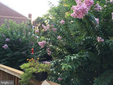 2001 Gervais Dr, Falls Church, VA 22043 - photo 4