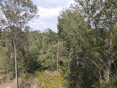 County Road 332 unit LotWP003, Wilmar, AR 71675 - photo 4