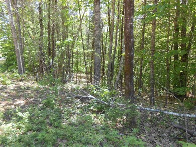 0 Granite Rd unit 4760871, Effingham, NH 03882 - photo 6