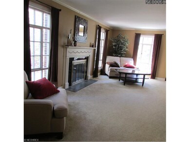 Very large living room gas fireplace
