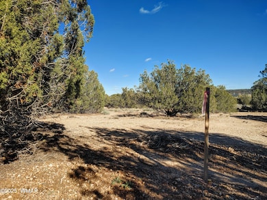 Parcel 2 W Shumway Rd, Taylor, AZ 85901 - photo 2