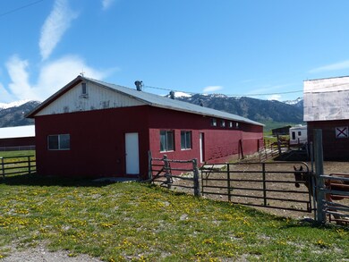 Backyard & Daisy Barn