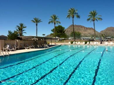Adult Pool A.JPG