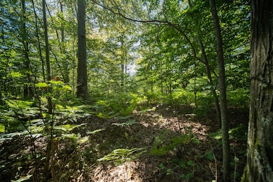 0 Emerald Ridge unit 29 22036088, Onekama Township, MI 49675 - photo 5