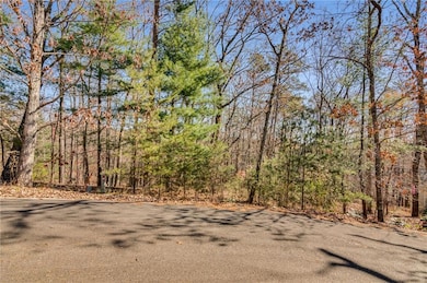 3356 Bee Balm Way, Big Canoe, GA 30148 - photo 2