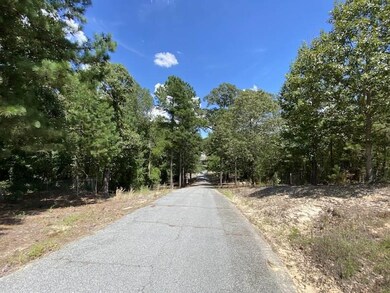 0 Nanette Dr unit 203961, Byron, GA 31008 - photo 2