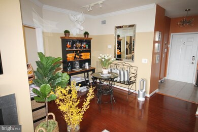 2321 25th St S unit 2411, Arlington, VA 22206 - photo 6
