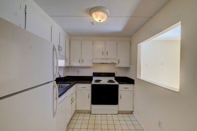 17 Healey St unit 302, Cambridge, MA 02138 - photo 4