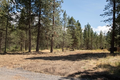 080620_0221 copy