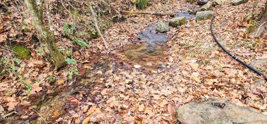 hwy 61 spring 2