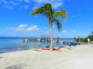 Beach and Dock
