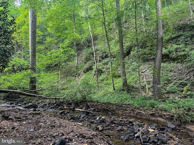 0 Laurel Dale Rd, New Creek, WV 26743 - photo 3