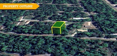 0 Oak Dr unit 25548688, Trinity, TX 75862 - photo 3