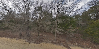 1601 Gotier Trace Rd, Paige, TX 78659 - photo 2