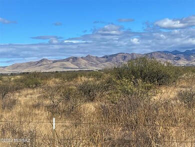 View northeast of the Chiricahua Mtns
