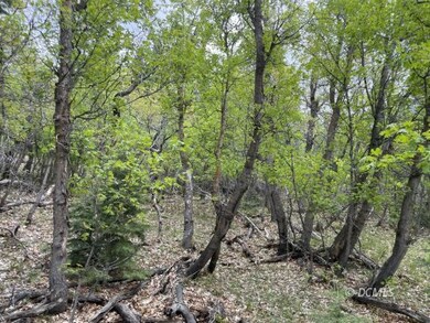 Early spring