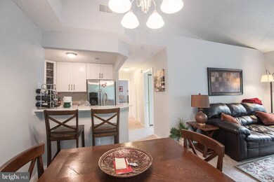 11737 Summerchase Cir unit 1737-E, Reston, VA 20194 - photo 4