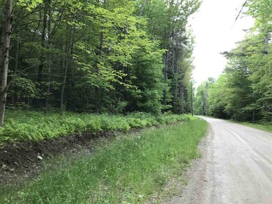 00 Holden Hill Rd unit Lot 2, Weston, VT 05161 - photo 3