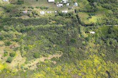 280 Laula Rd, Hilo, HI 96720 - photo 5