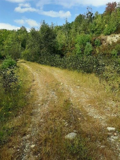 0 Richmond Rd unit 4829611, Winchester, NH 03470 - photo 2