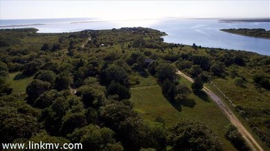 Part of 16 Forever Wild Way, Edgartown, MA 02539 - photo 6