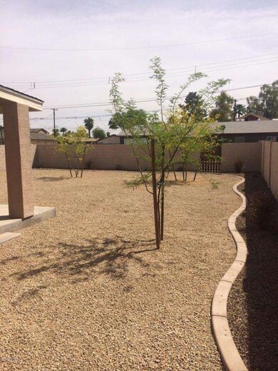 Back Yard Landcaping 2