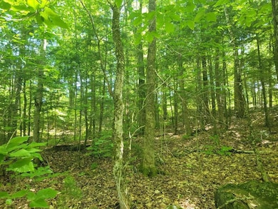 00 Fahi Pond Rd, Embden, ME 04958 - photo 3