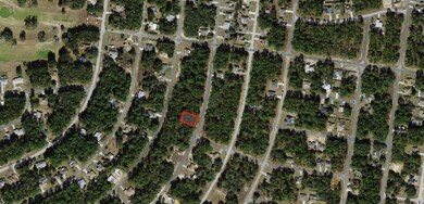 8116 N Triana Dr, Citrus Springs, FL 34434 - photo 4