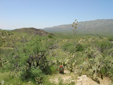 7301 S Red Hill Rd unit 84, Vail, AZ 85641 - photo 5