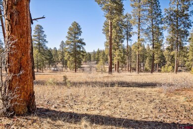 699 N Lakeside Dr, Durango, CO 81303 - photo 4