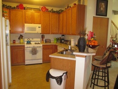 221 Springbrook Trail S, Oswego, IL 60543 - photo 4