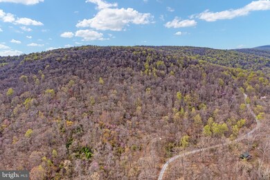 0 Forest Hill Ln unit VALO2024984, Bluemont, VA 20135 - photo 5