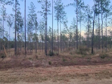 054 Private Road 6028, Brookeland, TX 75931 - photo 6