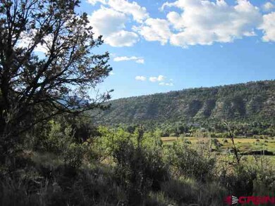 0 Cr 251, Durango, CO 81301 - photo 4