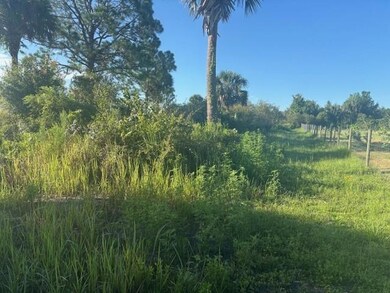 19216 NW 300th St, Okeechobee, FL 34972 - photo 3