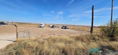 E of 36 S Donaldson Farm Rd, Loving, NM 88256 - photo 3