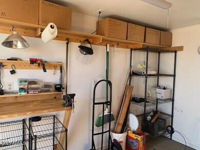 inside shed