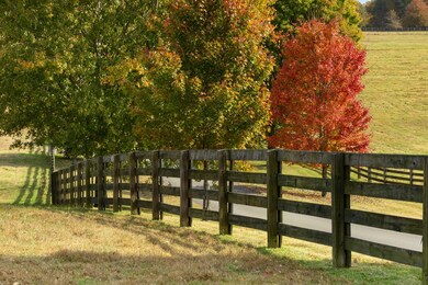 The entire property is fenced and cross-fenced for equestrian and livestock. What a beautiful drive leading to your slice of heaven.