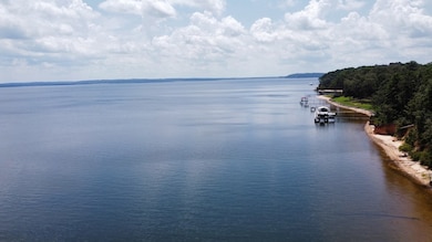 TBD Alternate 97, Abbeville, AL 36310 - photo 4