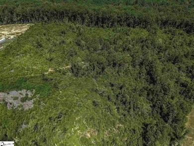 0 Roddy Rd, Woodruff, SC 29388 - photo 5