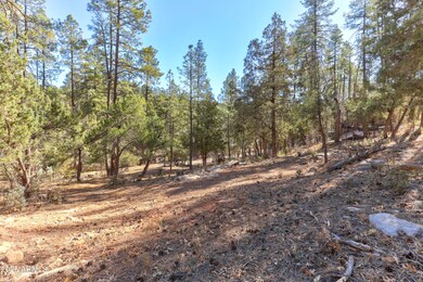 11180 N Houton Mesa Rd unit 77, Payson, AZ 85541 - photo 4