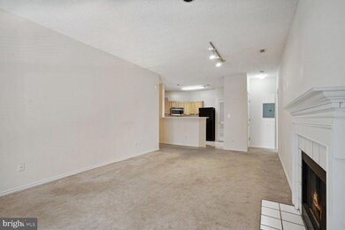 13070 Autumn Woods Way unit 202, Fairfax, VA 22033 - photo 6