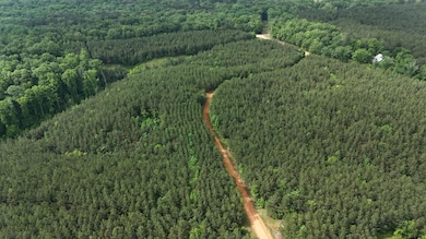 0 0 Cr 323 (29 Acres) unit 25-2233, Iuka, MS 38852 - photo 5