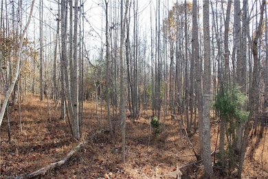 00 Ralph Joyce Rd, Sandy Ridge, NC 27046 - photo 5